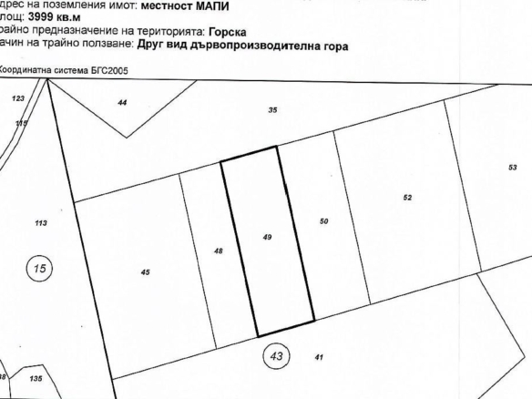 Парцел в местността Мапи - статут - гора - 0