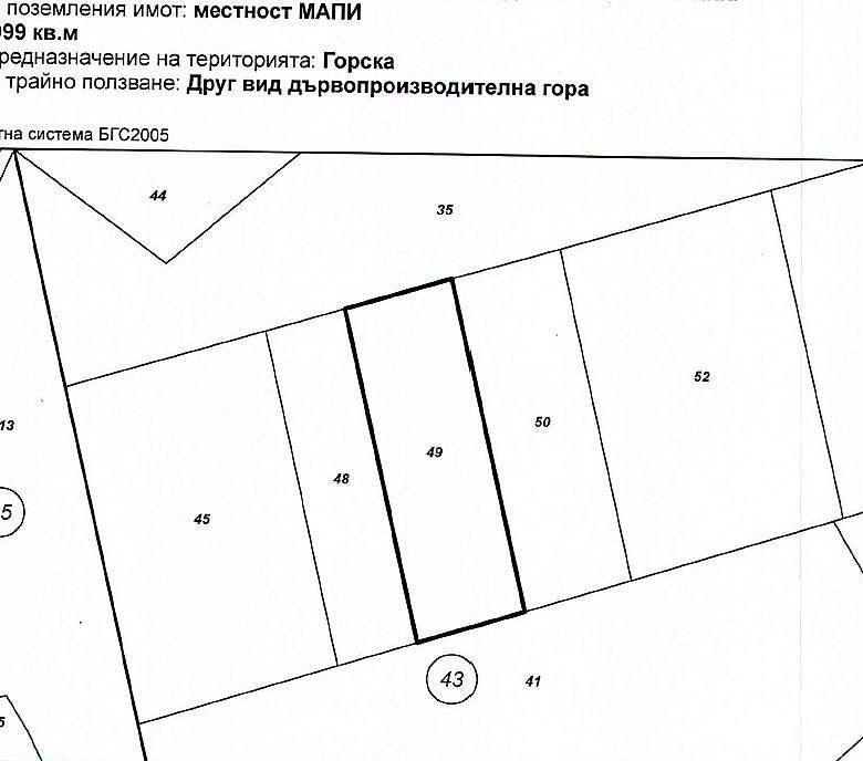Парцел в местността Мапи – статут – гора