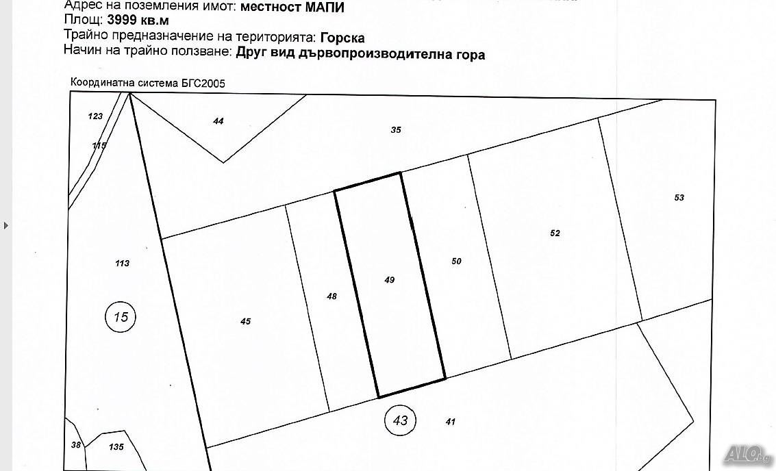 Парцел в местността Мапи - статут - гора - 0