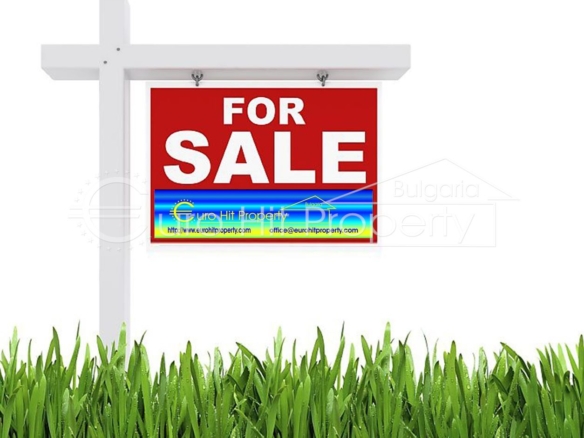 Лешникова градина в землището на с. Пирне с лице на асфалтов път - 0